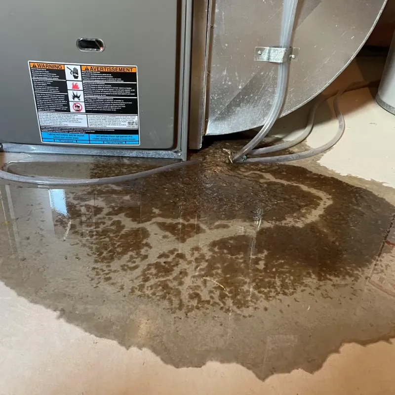 Appliance Leak Cleanup in Stowe, VT